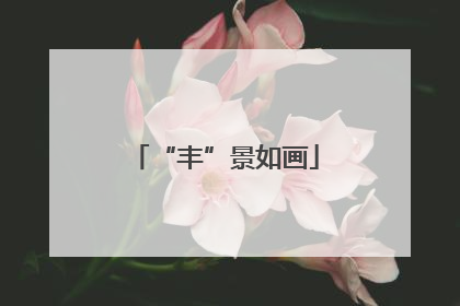 “丰”景如画